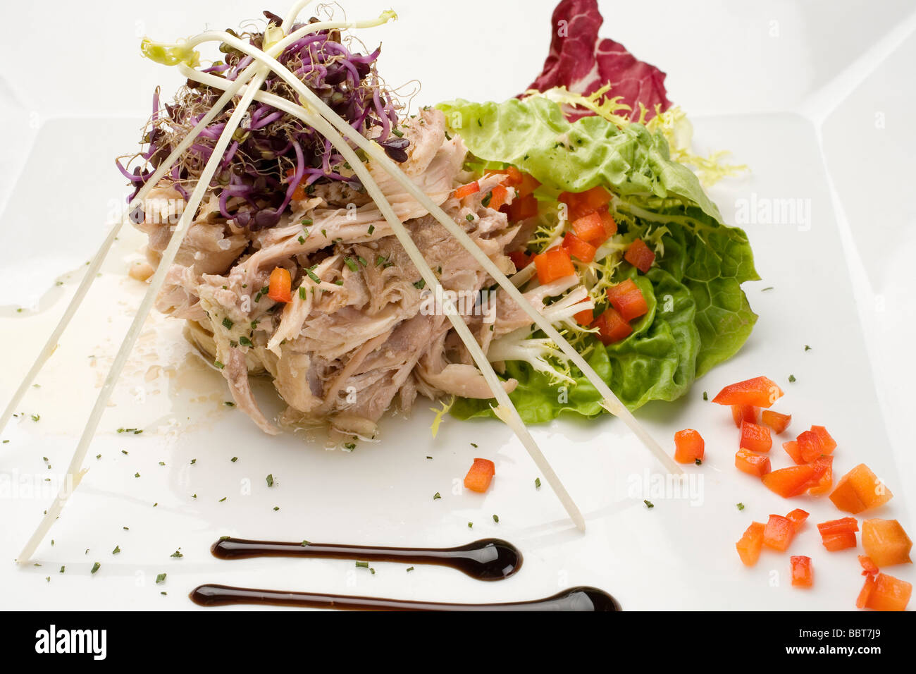 Ensalada de Perdiz en Escabeche Partridge Salad Stock Photo