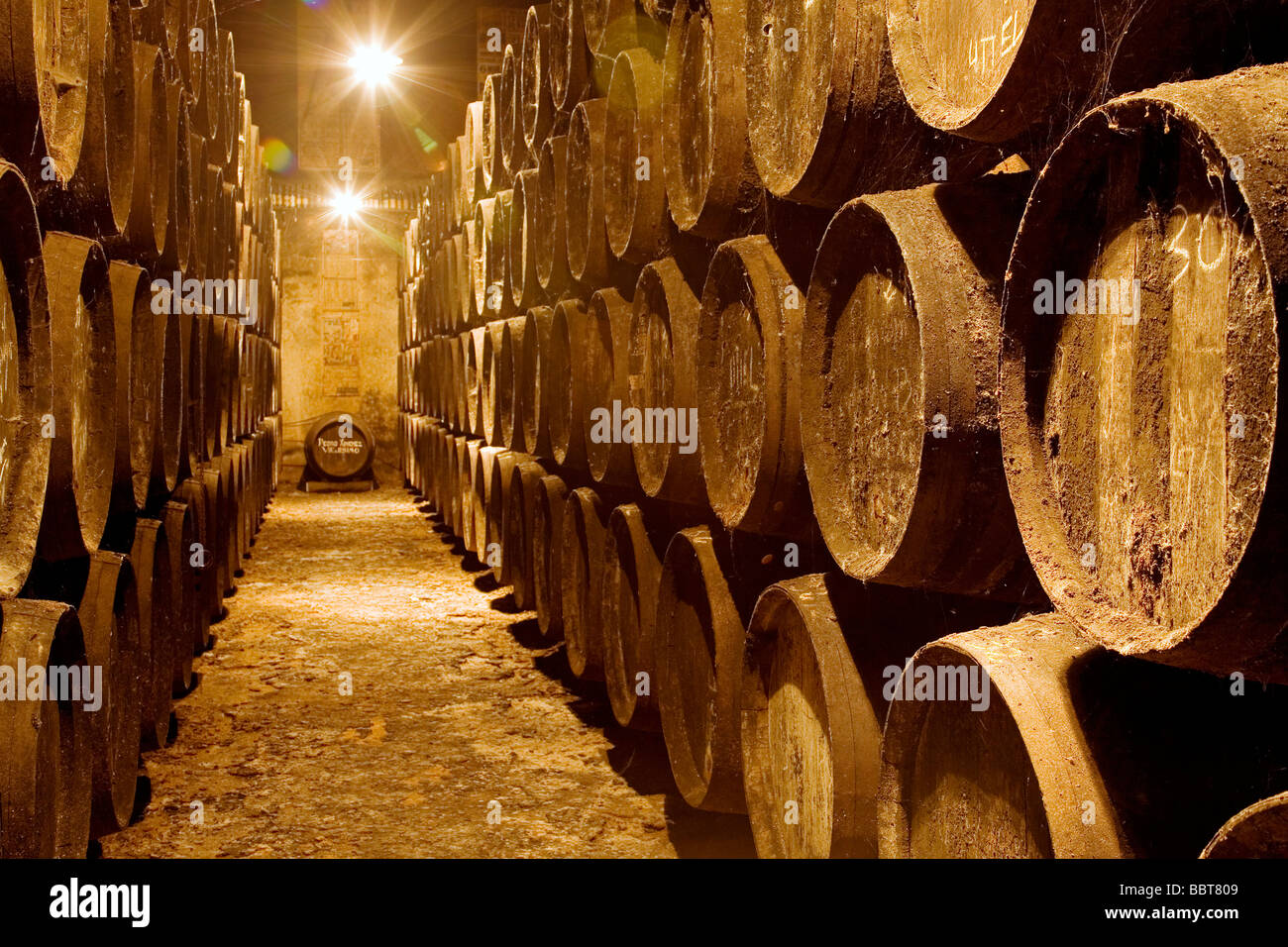 Wine Cellars Toro Albala in Aguilar de la Frontera Cordova Andalusia Spain Stock Photo
