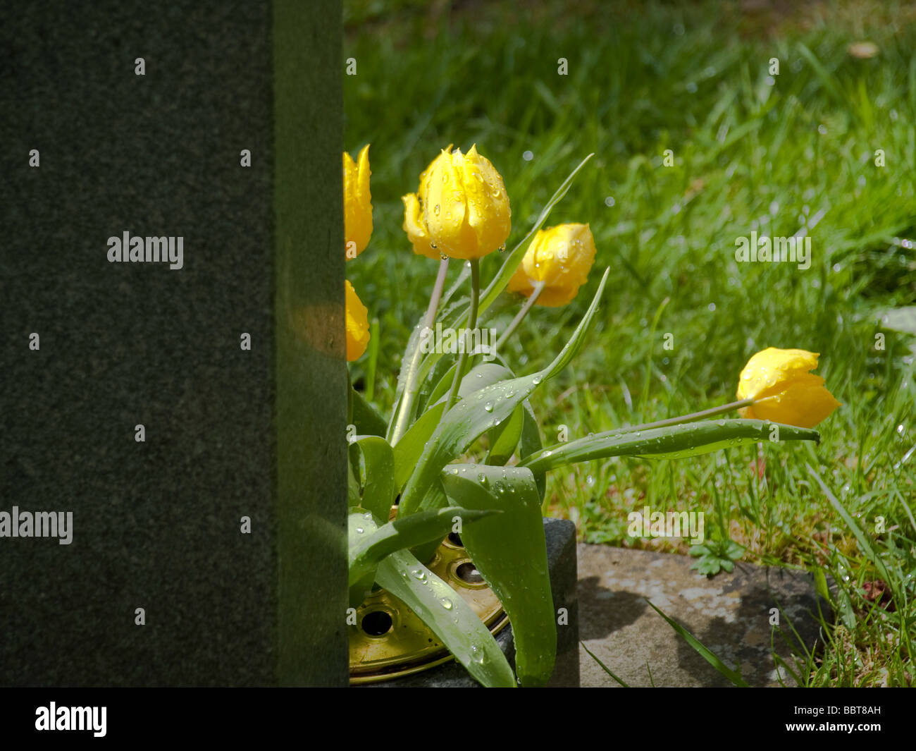 flowers on grave Stock Photo Alamy