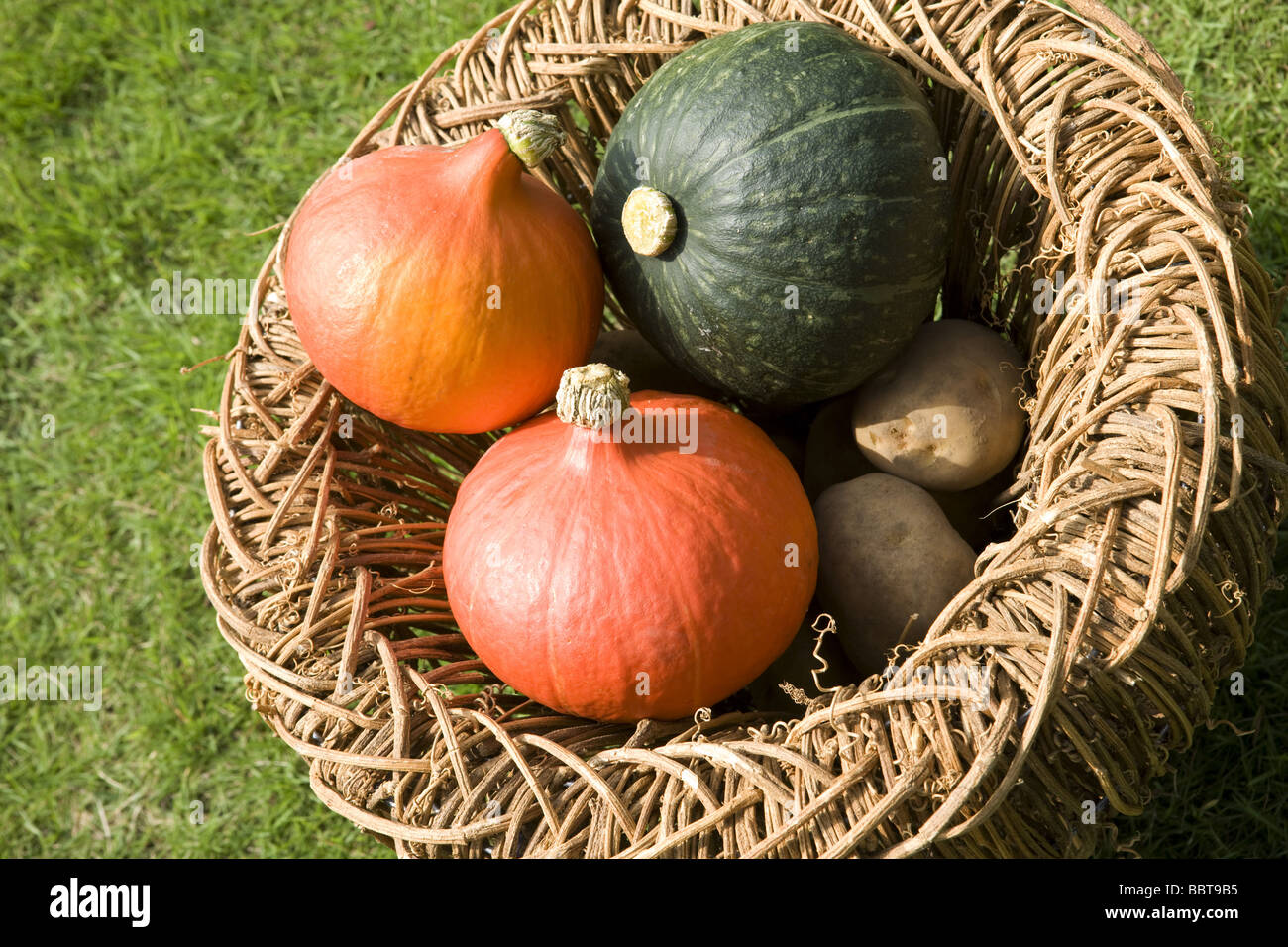 Vegetables in straw basket Stock Photo Alamy