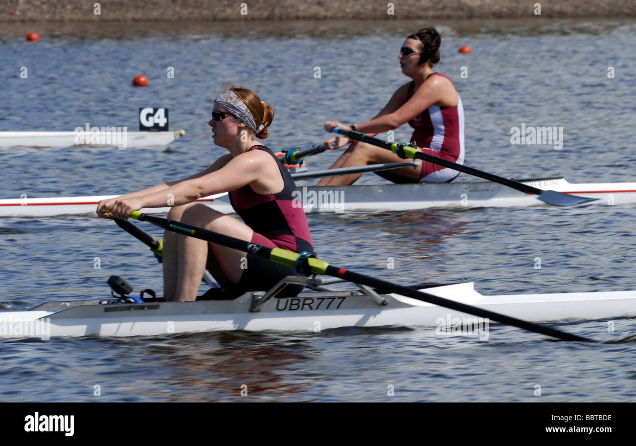 Competitive rowing and sculling event Stock Photo Alamy