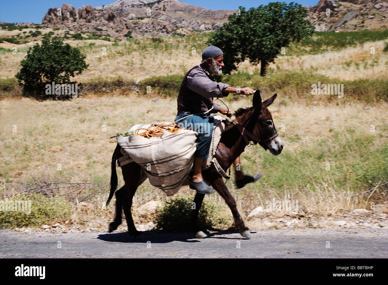 Turkey Riding Donkey Travels with a donkey 60 photos - Arptravels.com