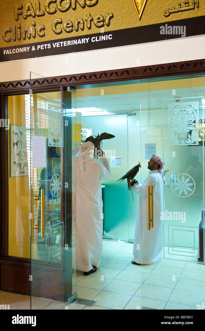 Dubai falcons at teh falcon clinic Stock Photo Alamy