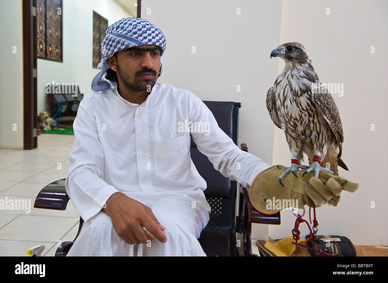 Hunting bird dubai uae hires stock photography and images Alamy