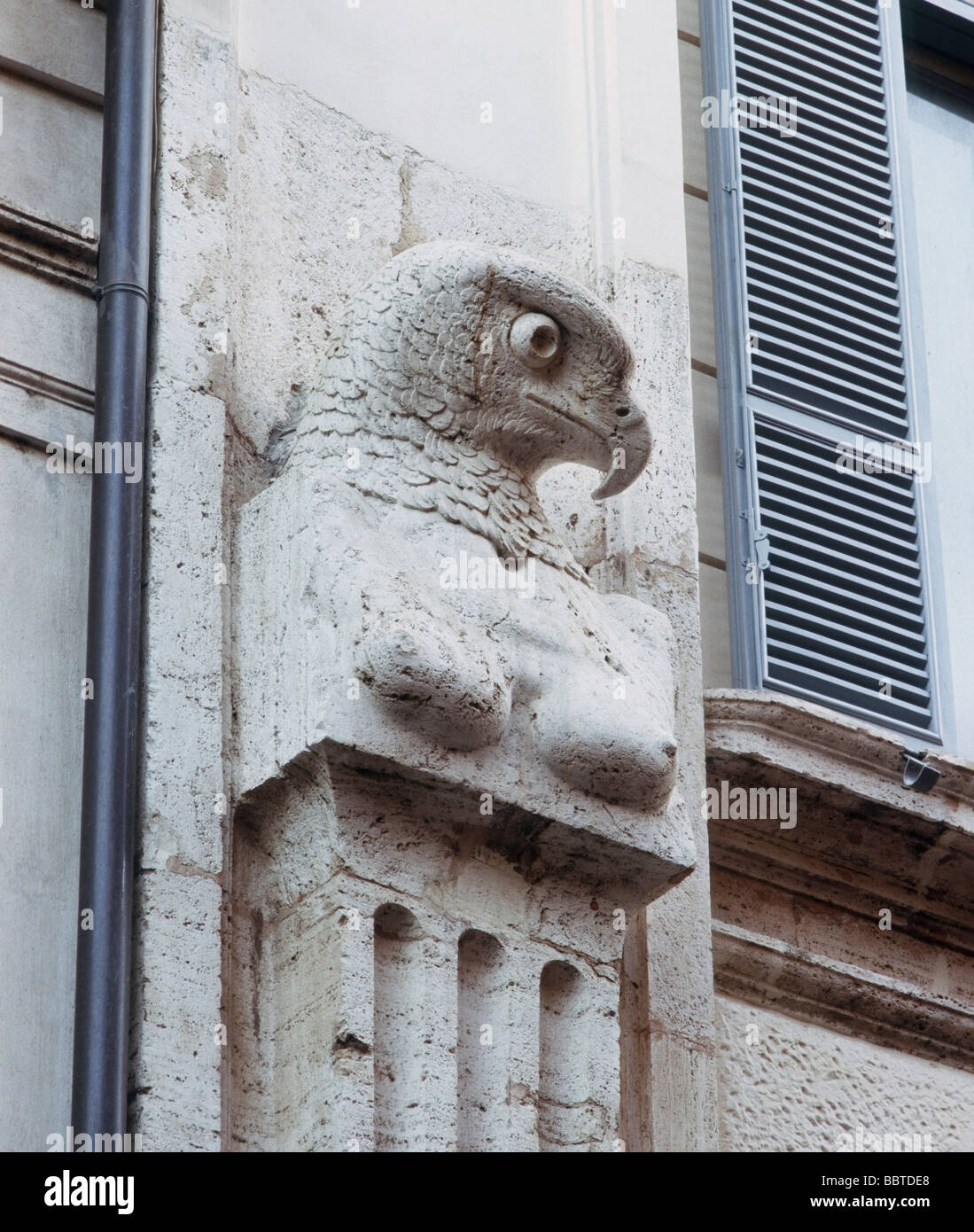 Detail of the façade of Palazzo Falconieri in Rome Stock Photo Alamy