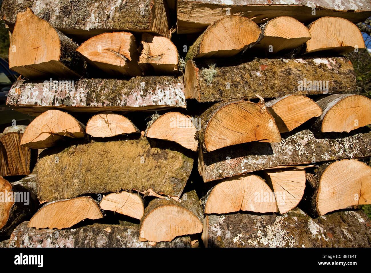 Firewood in a Rural House in the Village of Mogrovejo Shire of Liebana Picos de Europa Cantabria Spain Stock Photo