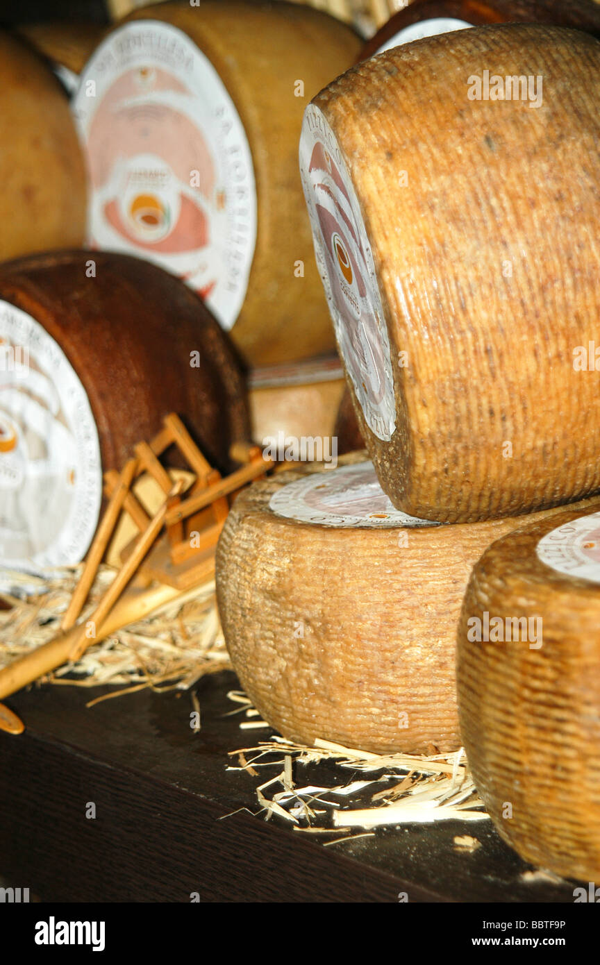 Pecorino cheese, Sardinia, Italy Stock Photo Alamy