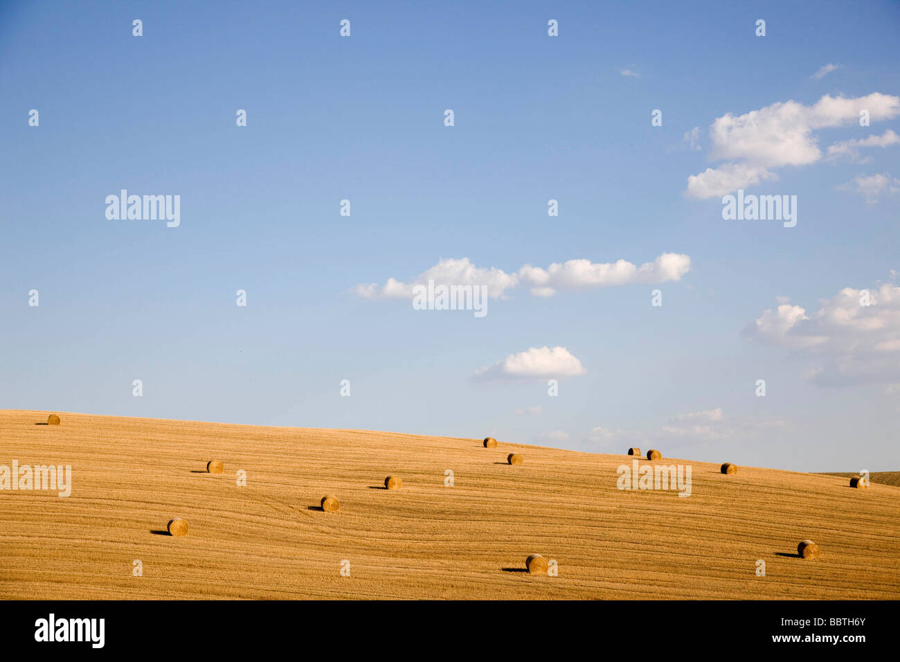 Field with hay rolls in Tuscany Stock Photo - Alamy