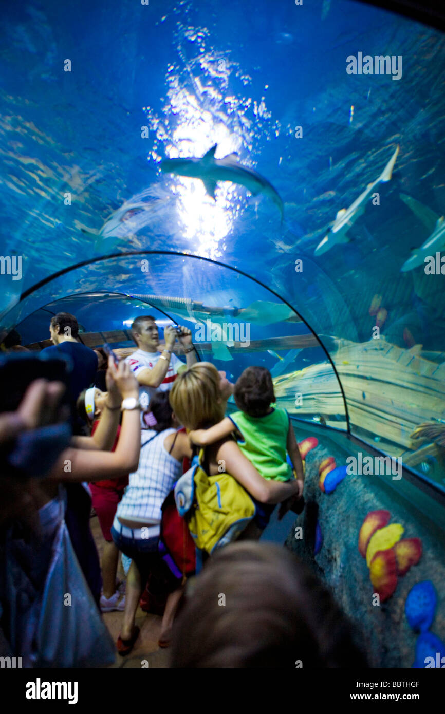 Gardaland Sea Life Aquarium, Castelnuovo del Garda, Veneto, Italy Stock  Photo - Alamy