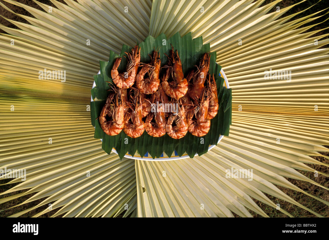 Sweet and sour Crawfish, Gangga island, North Sulawesi island, Sunda