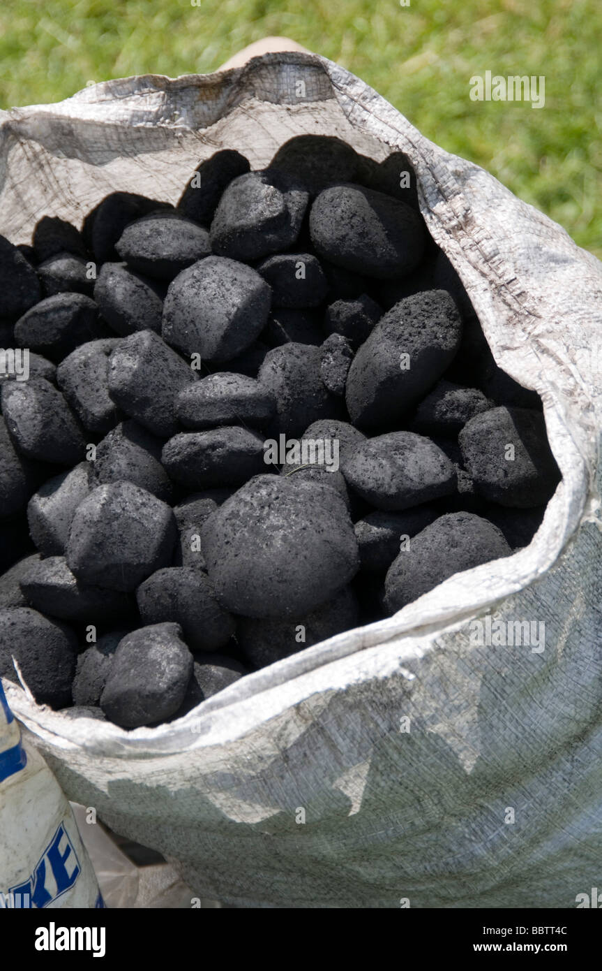 Coal coals sack sacks bag bags fossil fuel fuels solid carbon dioxide emission emissions co2 lump lumps of global warming climat Stock Photo