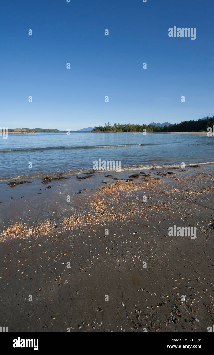 Panorama Of Pacific Ocean Long Beach Pacific Rim National Park Vancouver Island British Columbia