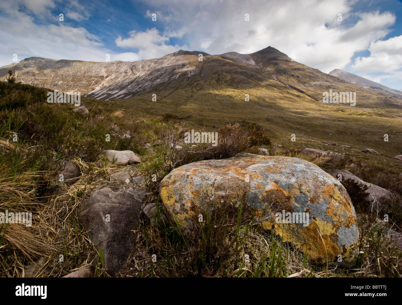 Brilliant yellow, orange and grey lichens grow in the clean mountain
