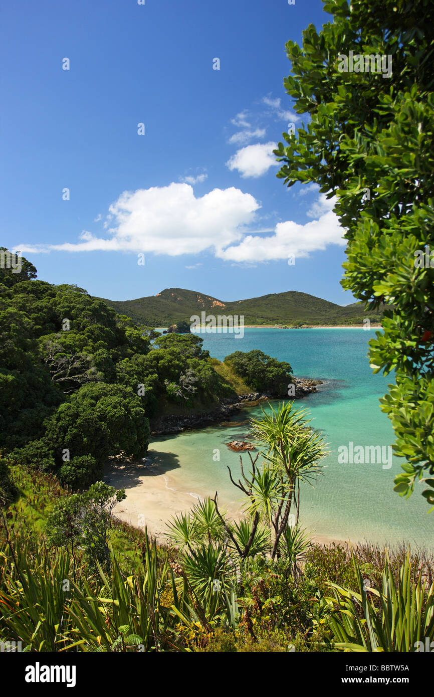 Idyllic Maitai Bay, sand beach and clear blue water. Karikari Peninsula. North Island. New Zealand Stock Photo