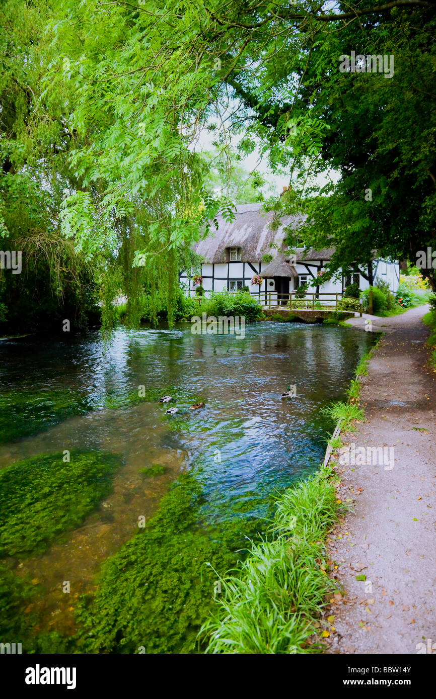 Timber framed thatched country cottage with bridge over river arle, ducks, trees, walkway. Stock Photo