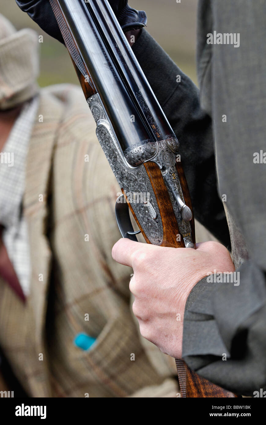 Gunner Holding a Holland and Holland Shotgun during a Driven Red Grouse Shoot in the Highlands of Scotland Stock Photo
