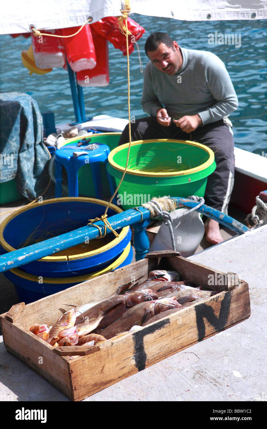 fish box' hi-res stock photography and images - Alamy