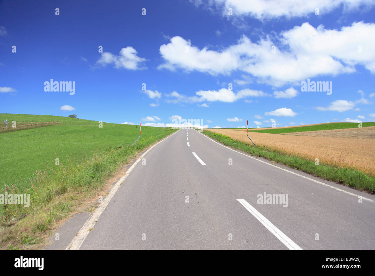 Long empty road with grassland against cloudy sky Stock Photo