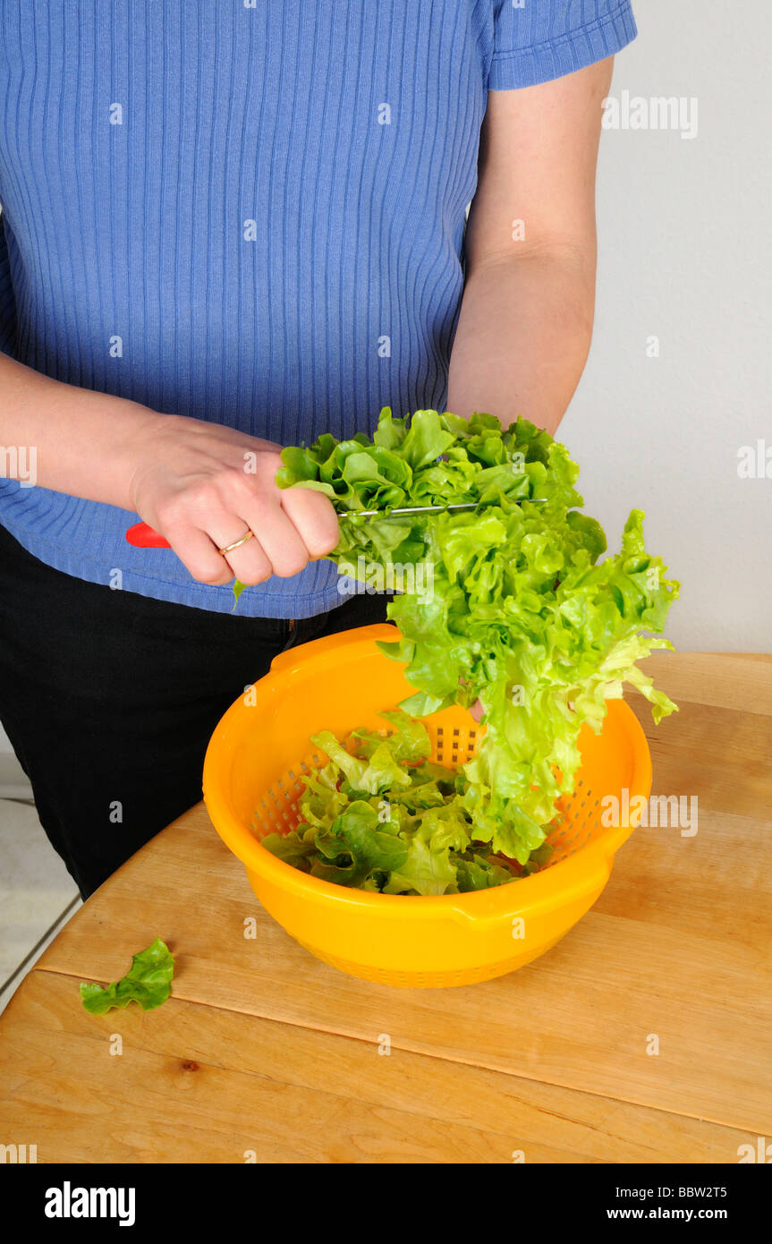 Cleaning and cutting lettuce Stock Photo