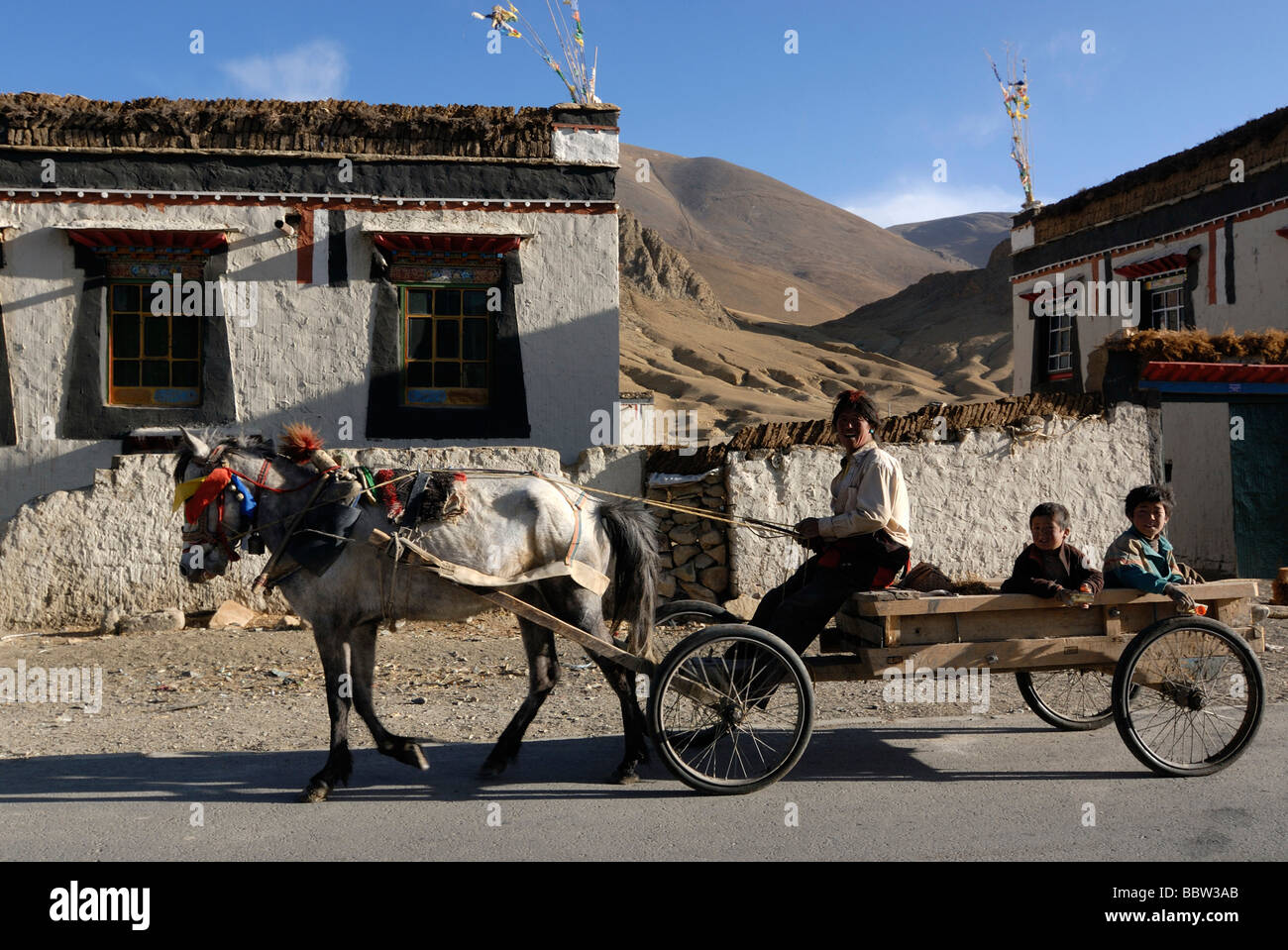 Tibetan nomad with children on a horse-drawn carriage with decorated horse, Tingri, Tibet, China, Asia Stock Photo