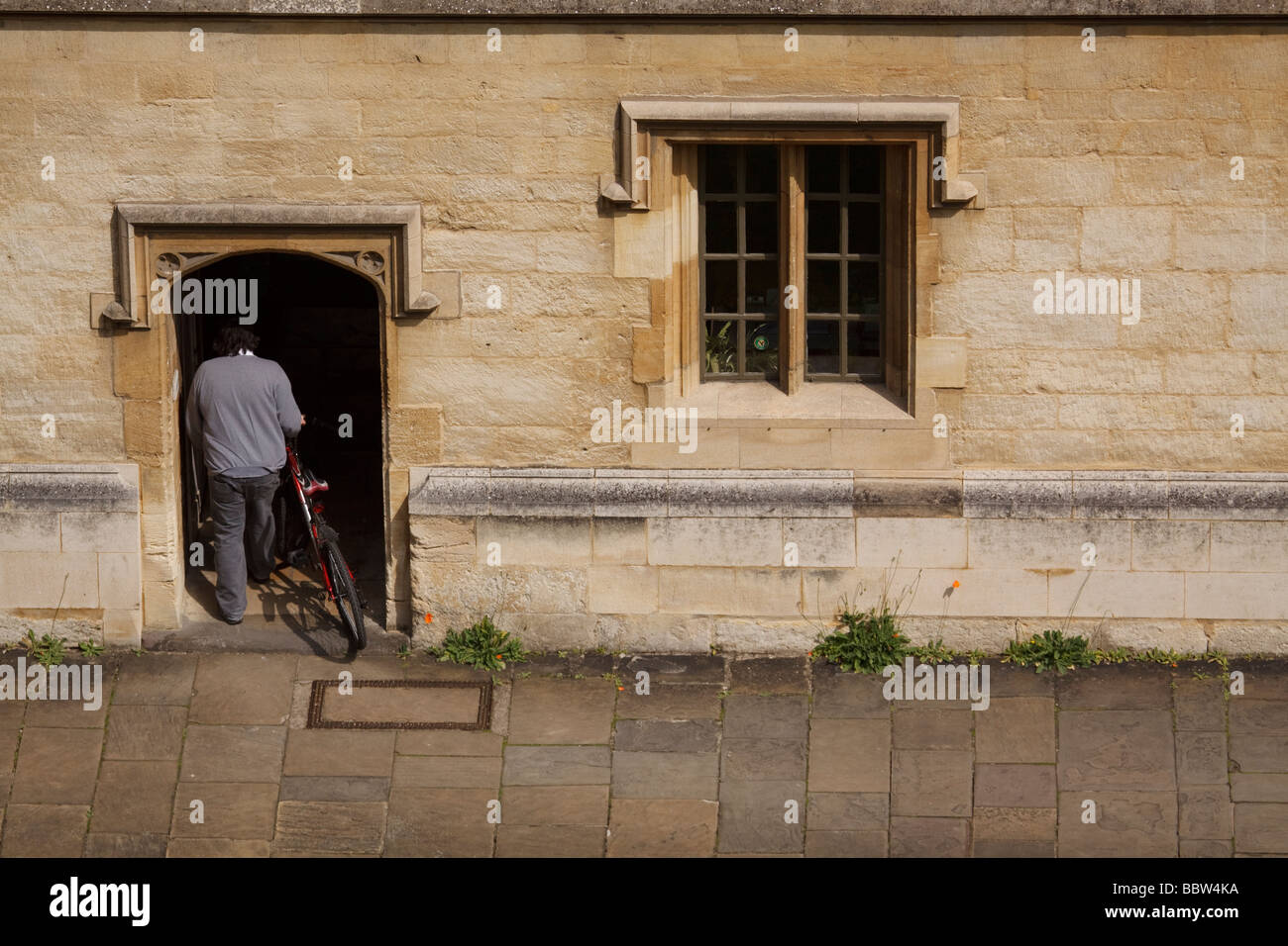 Academic with Bike Stock Photo Alamy