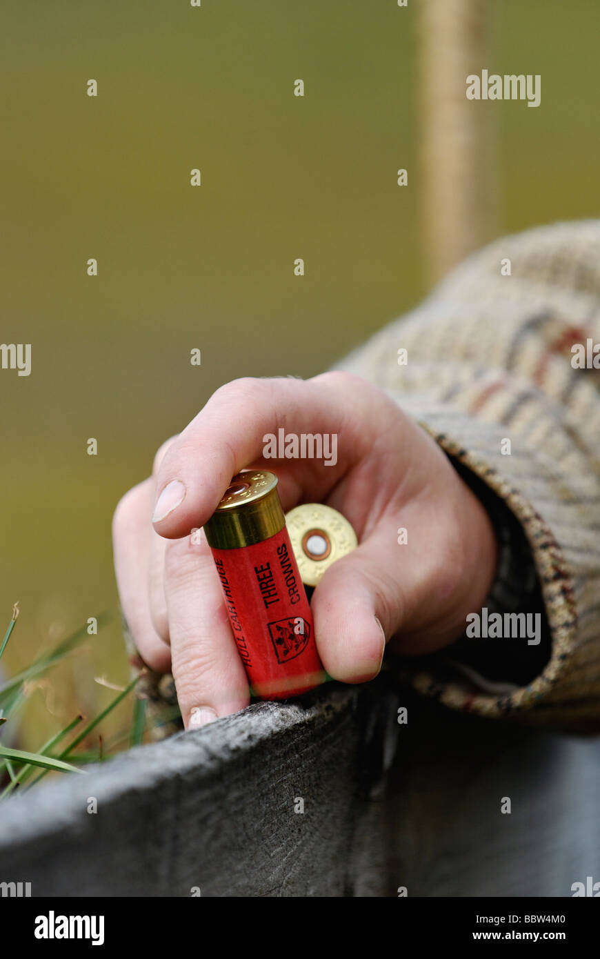 Close up of Loader Holding Two Shotgun Shells during Driven Red Grouse Shoot in the Highlands of