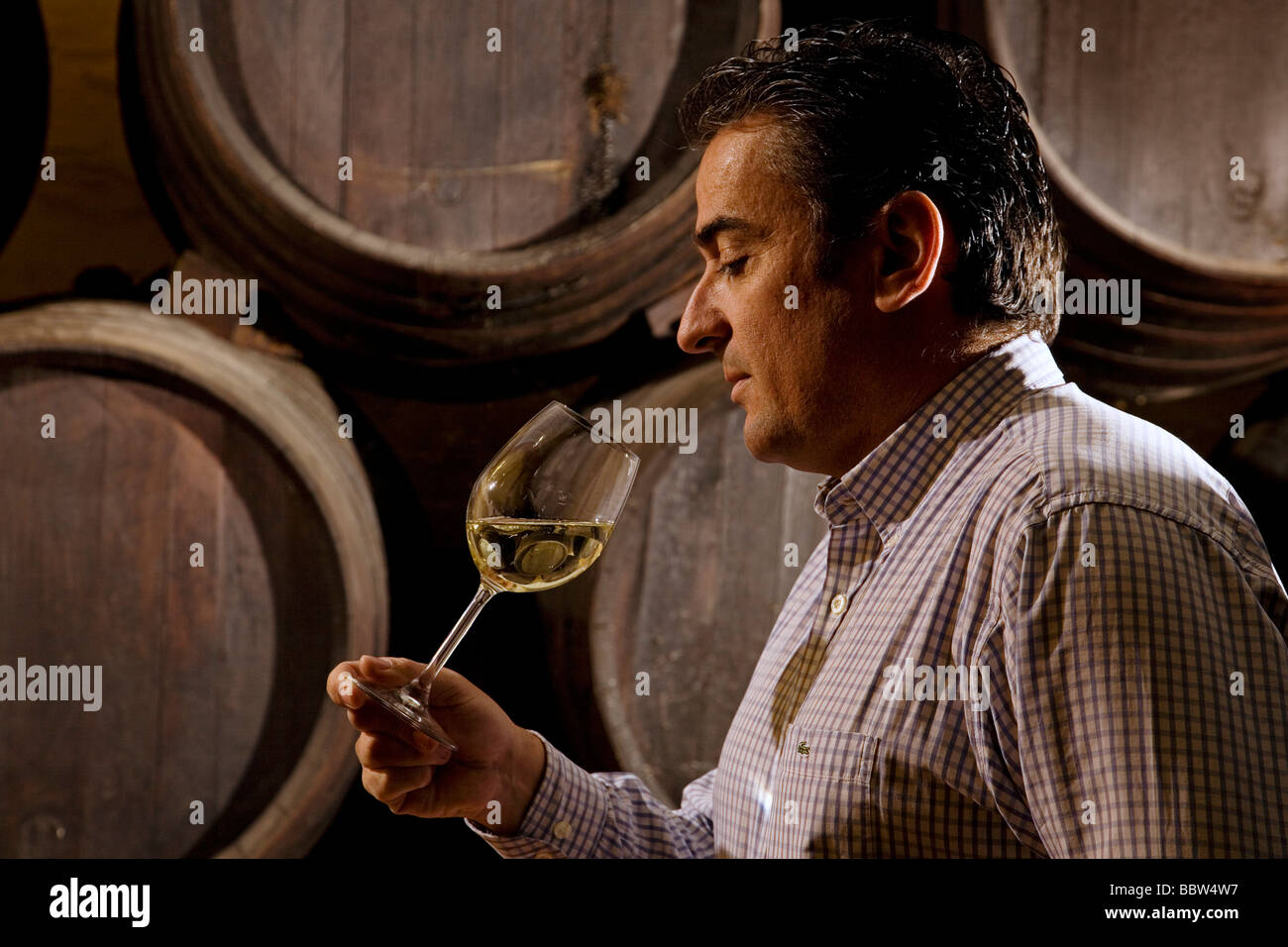 Bodega de vino hi-res stock photography and images - Alamy