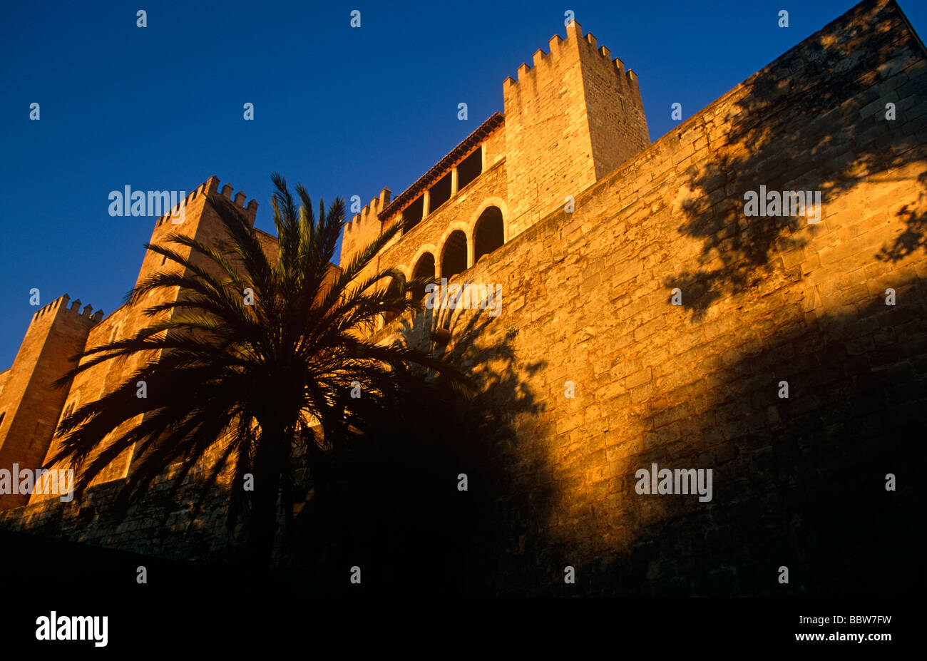 Set below palm trees, a low angle view of Palma's Museum del Palau de la Almudaina (Almudaina Palace) Stock Photo