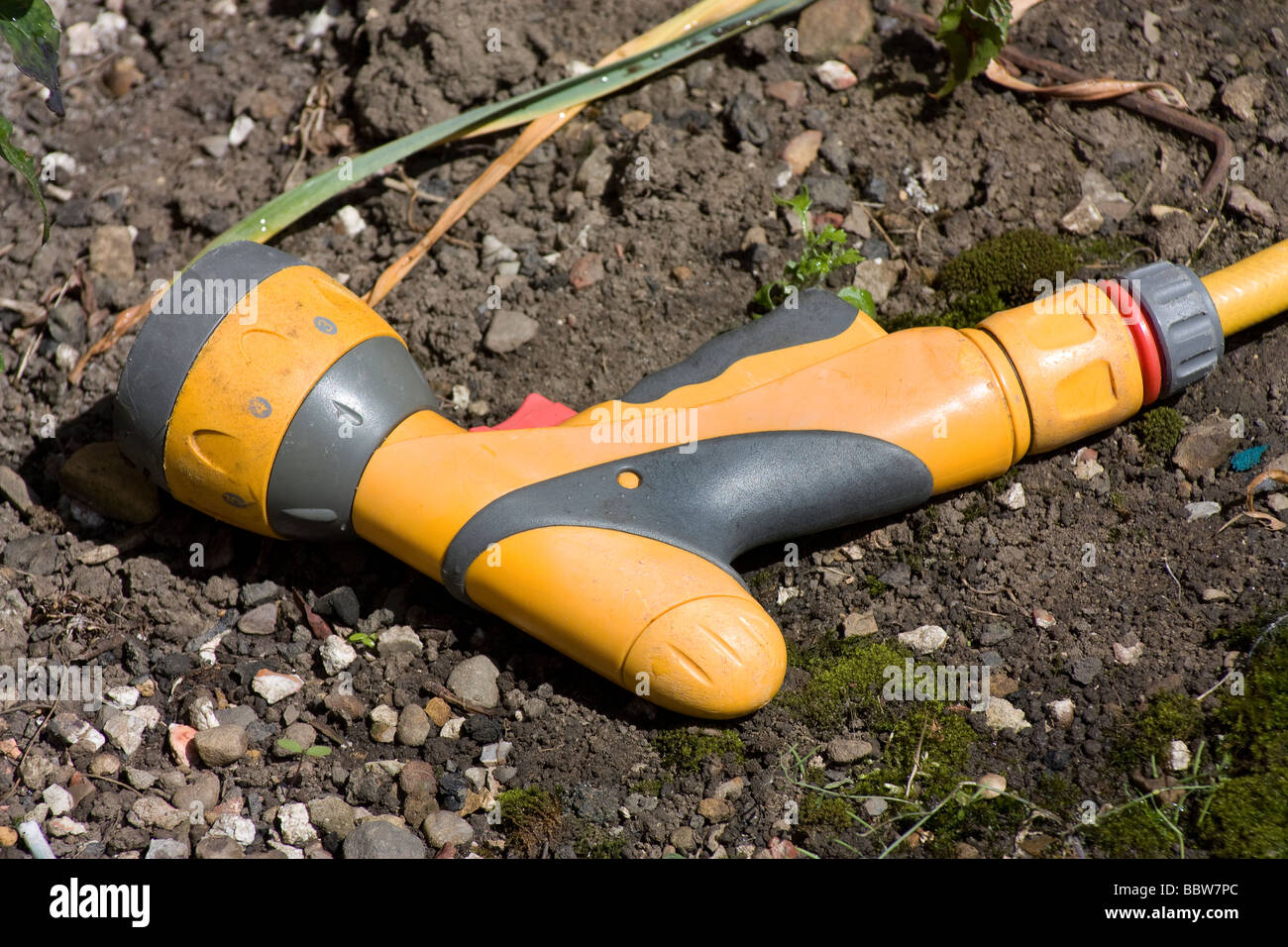 Hose pipe watering attachment connected to hosepipe Stock Photo