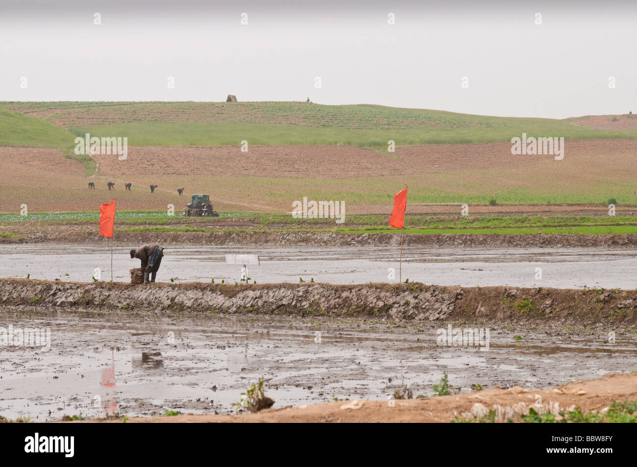 Galchon Cooperative Farm in North Korea near Nampo Stock Photo