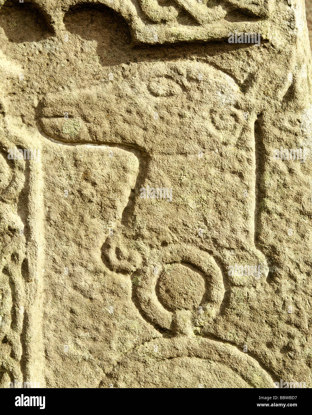 St Fergus Manse Cross Slab. The Manse Pictish Standing Stone, Glamis Angus, Scotland HOMER SYKES Stock Photo