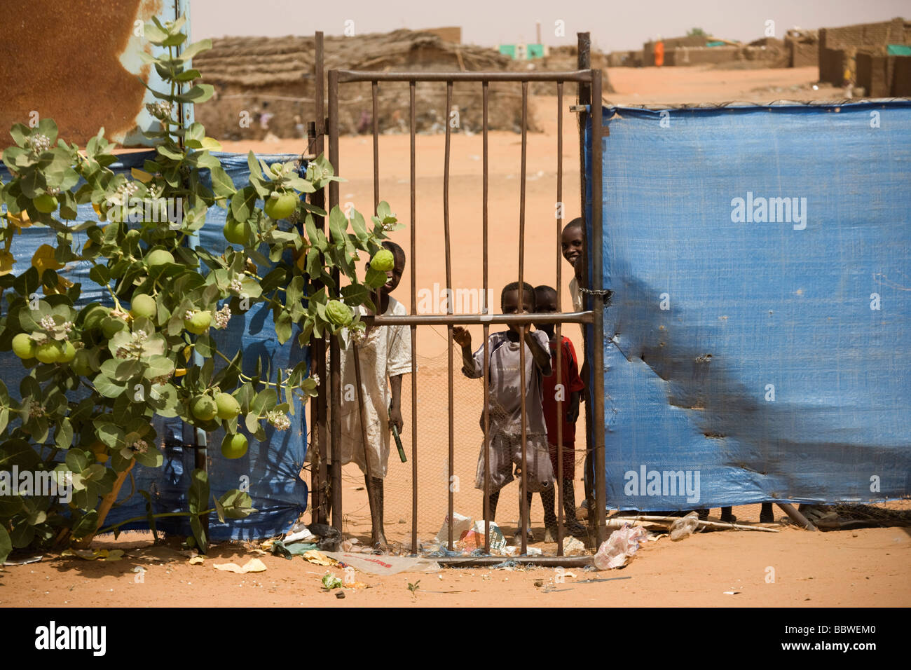 Children play hide and seek in the 4 sq km Abu Shouk refugee camp in Al Fasher, North Darfur, Sudan. Stock Photo