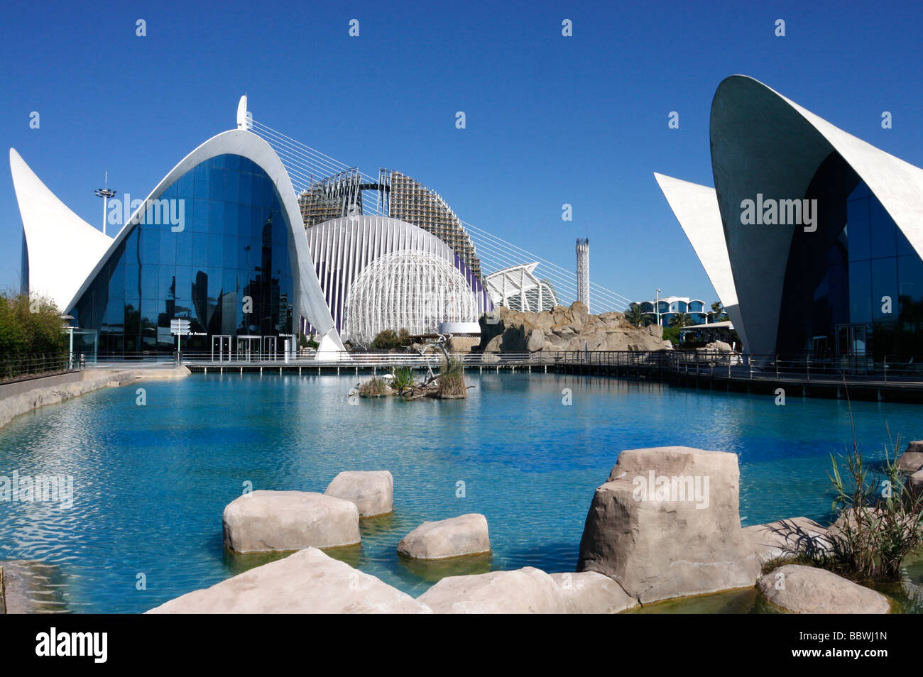 Decorazione dell'acquario immagini e fotografie stock ad alta risoluzione -  Alamy