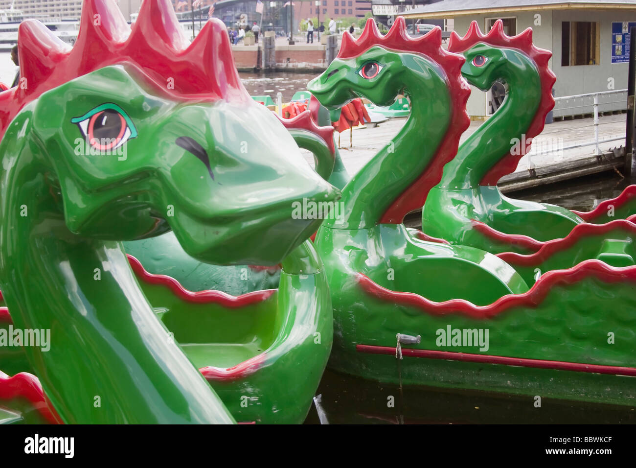 Dragon Boats in Baltimore's Inner Harbor Stock Photo Alamy