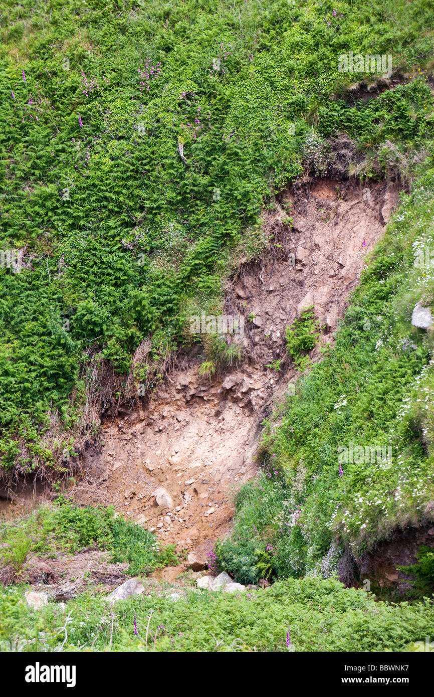 Landslides caused by flash floods near Zennor in Cornwall UK As climate change accelerates extreme weather is more common Stock Photo