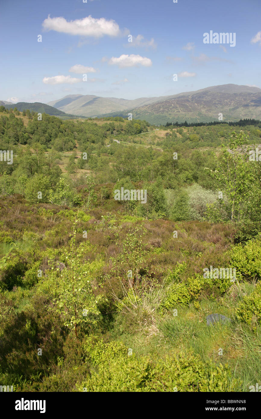 Trossachs, Scotland. View of the Trossachs and Queen Elizabeth Forest