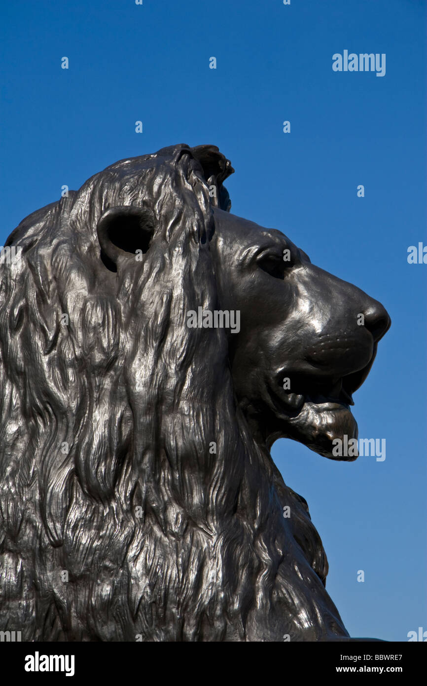 Trafalgar Square Lion Statue London UK Stock Photo