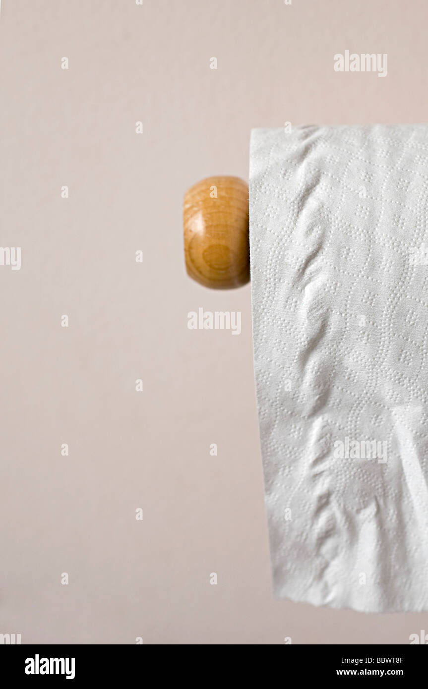 toilet roll hanging on the wall in a toilet Stock Photo Alamy