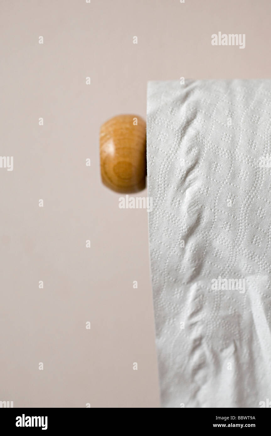 toilet roll hanging on the wall in a toilet Stock Photo Alamy