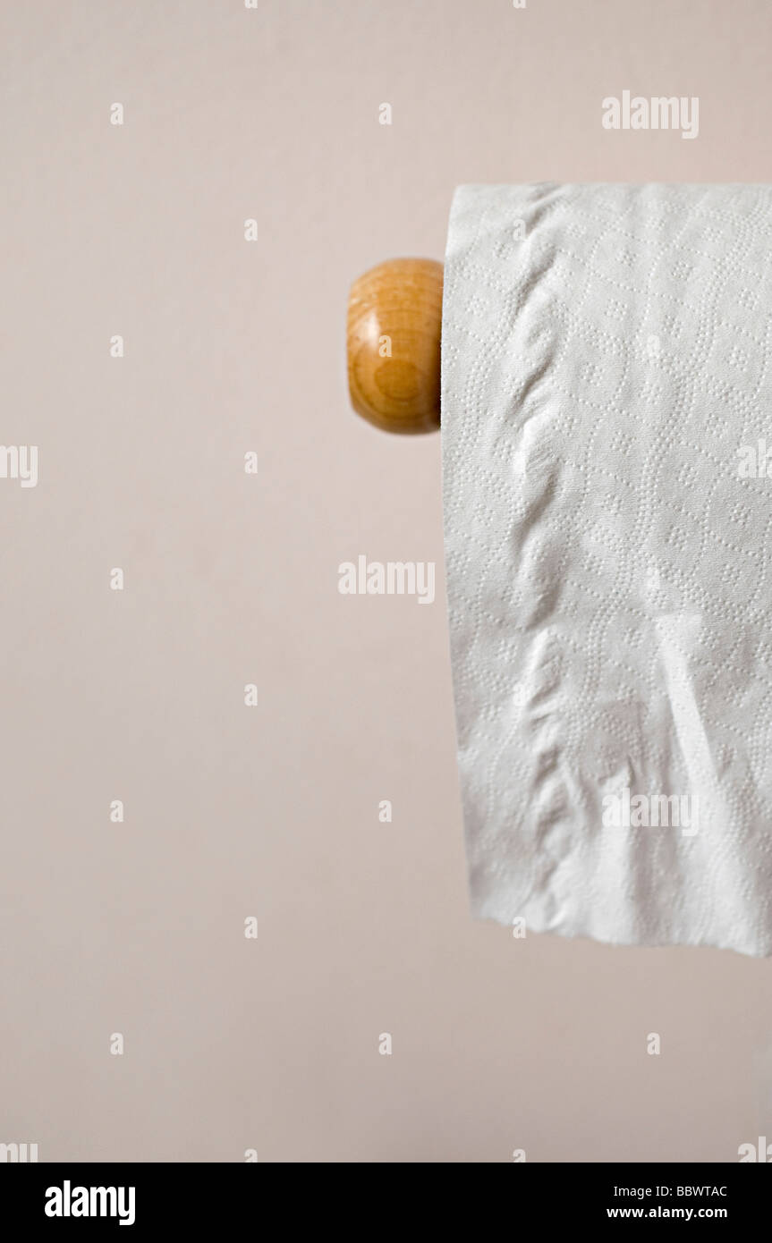 toilet roll hanging on the wall in a toilet Stock Photo Alamy