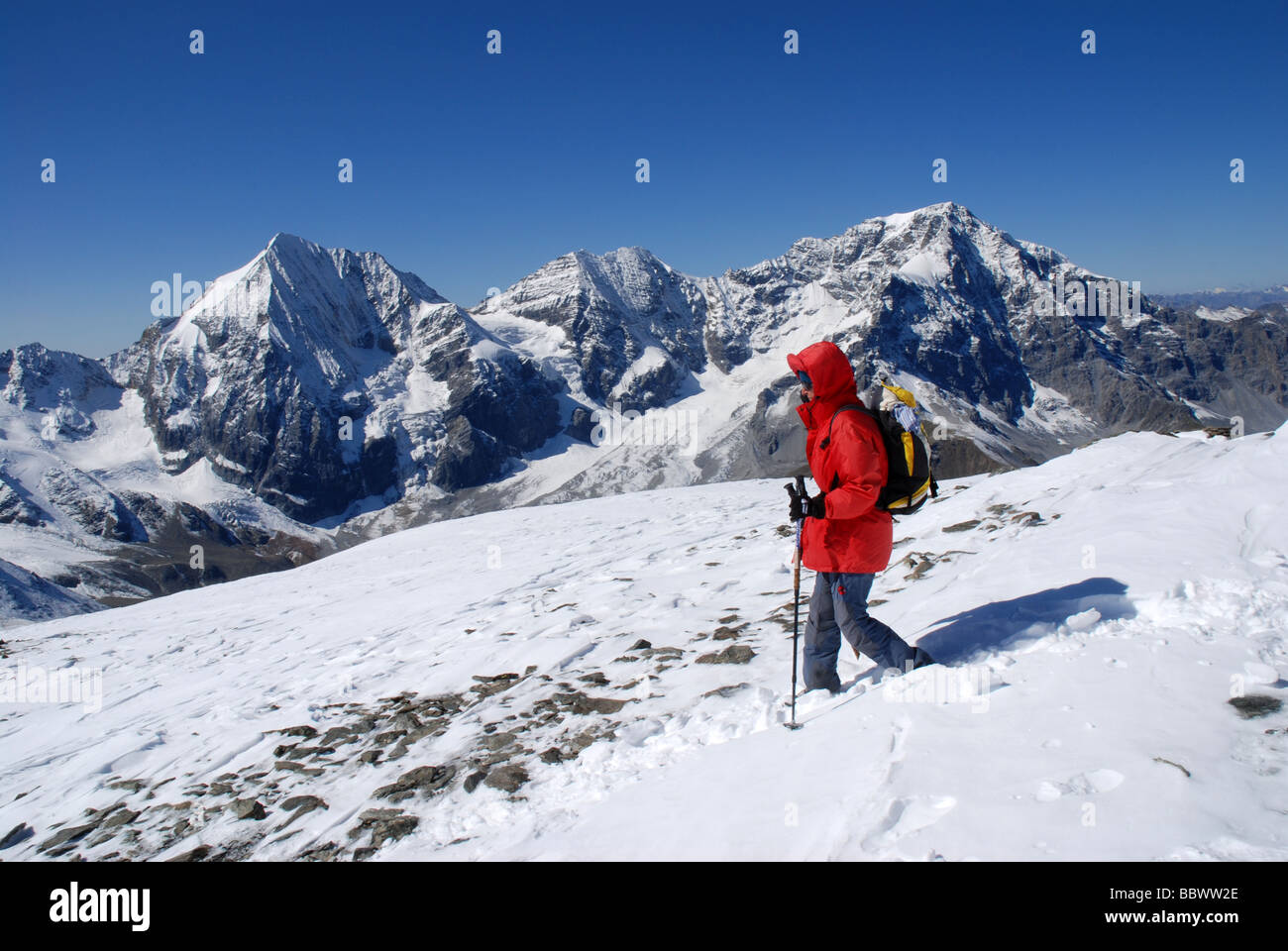 Madritschjoch Königsspitze and Ortler Alto Adige, Italy Stock Photo - Alamy