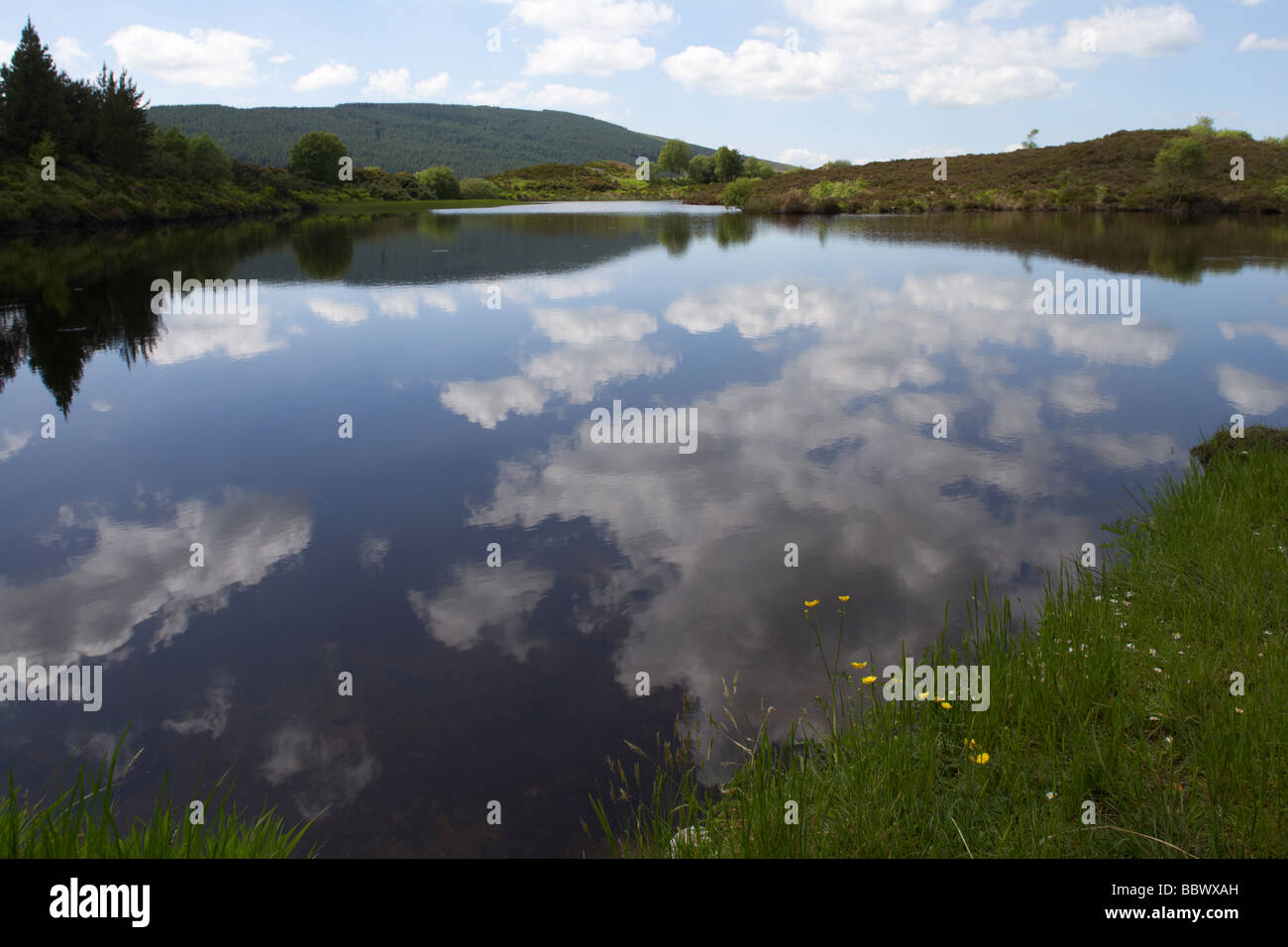 gortin lakes in the boorin national nature reserve county tyrone northern ireland uk europe Stock Photo
