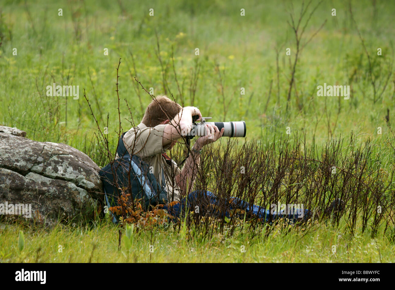 A wildlife photographer sitting in the field taking nature photographs. Stock Photo