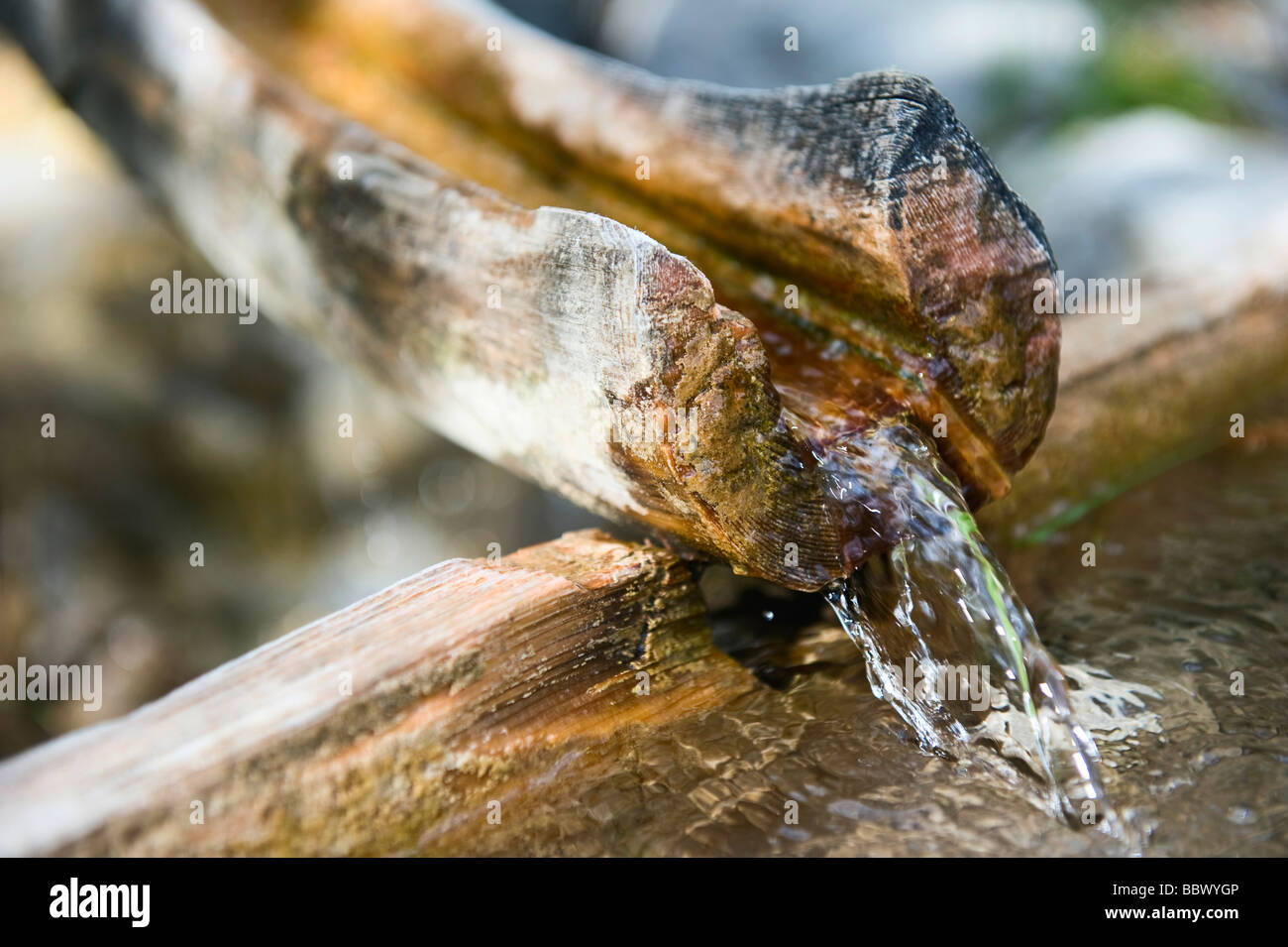 Fresh spring water runs through a wooden chute into an old wooden trough, Slovenia, Europe Stock Photo