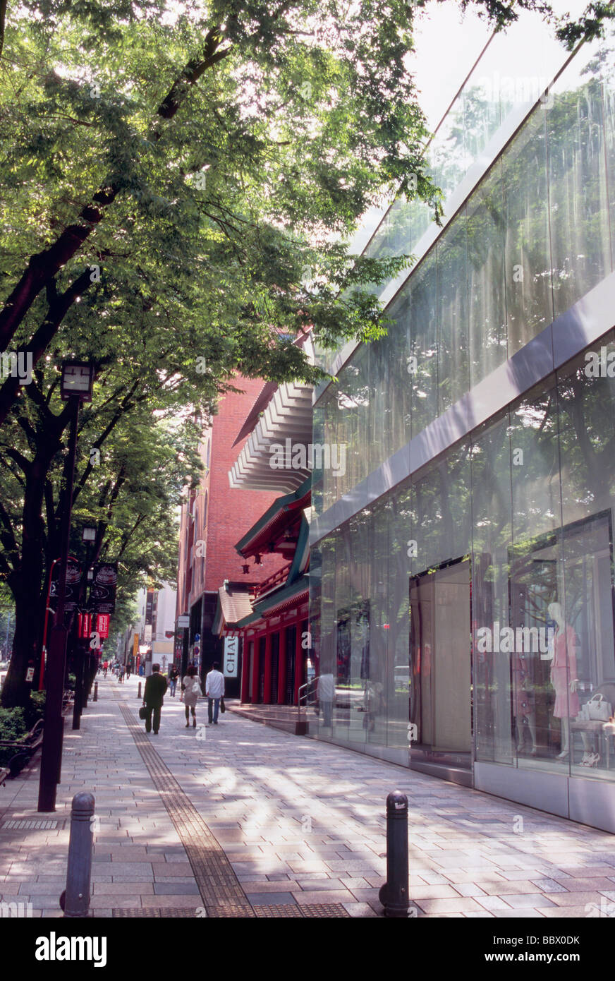 Omotesando, Tokyo, Japan Stock Photo Alamy