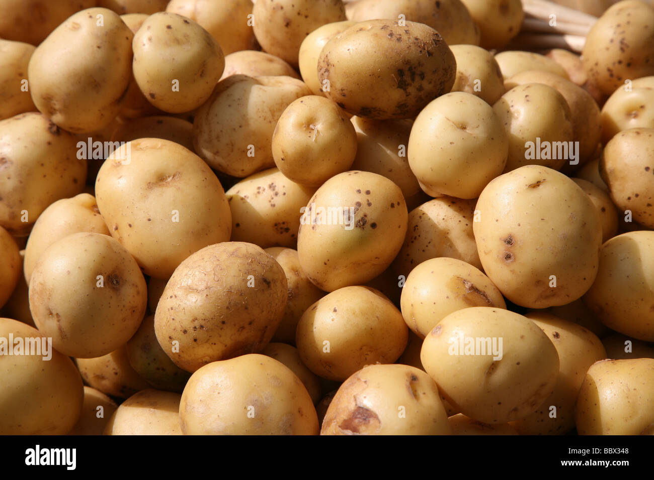 Potatoes for sale on a market stall Stock Photo Alamy