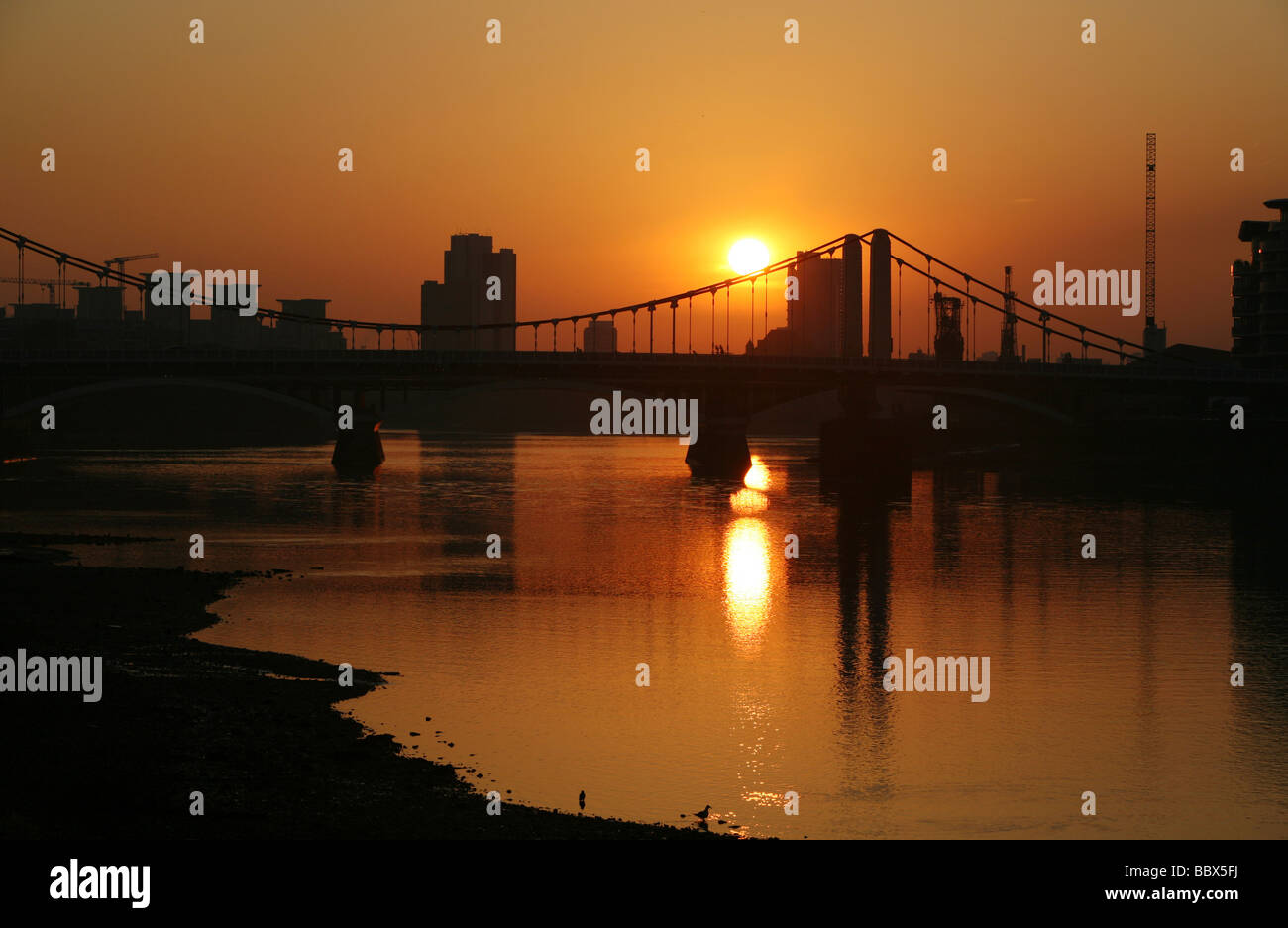 Chelsea river dawn london hi-res stock photography and images - Alamy