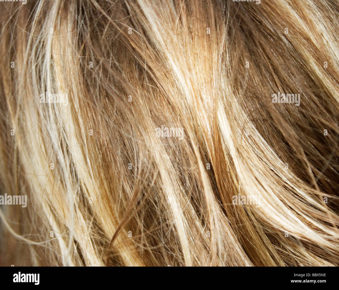 Blond hair close-up Sweden. Stock Photo