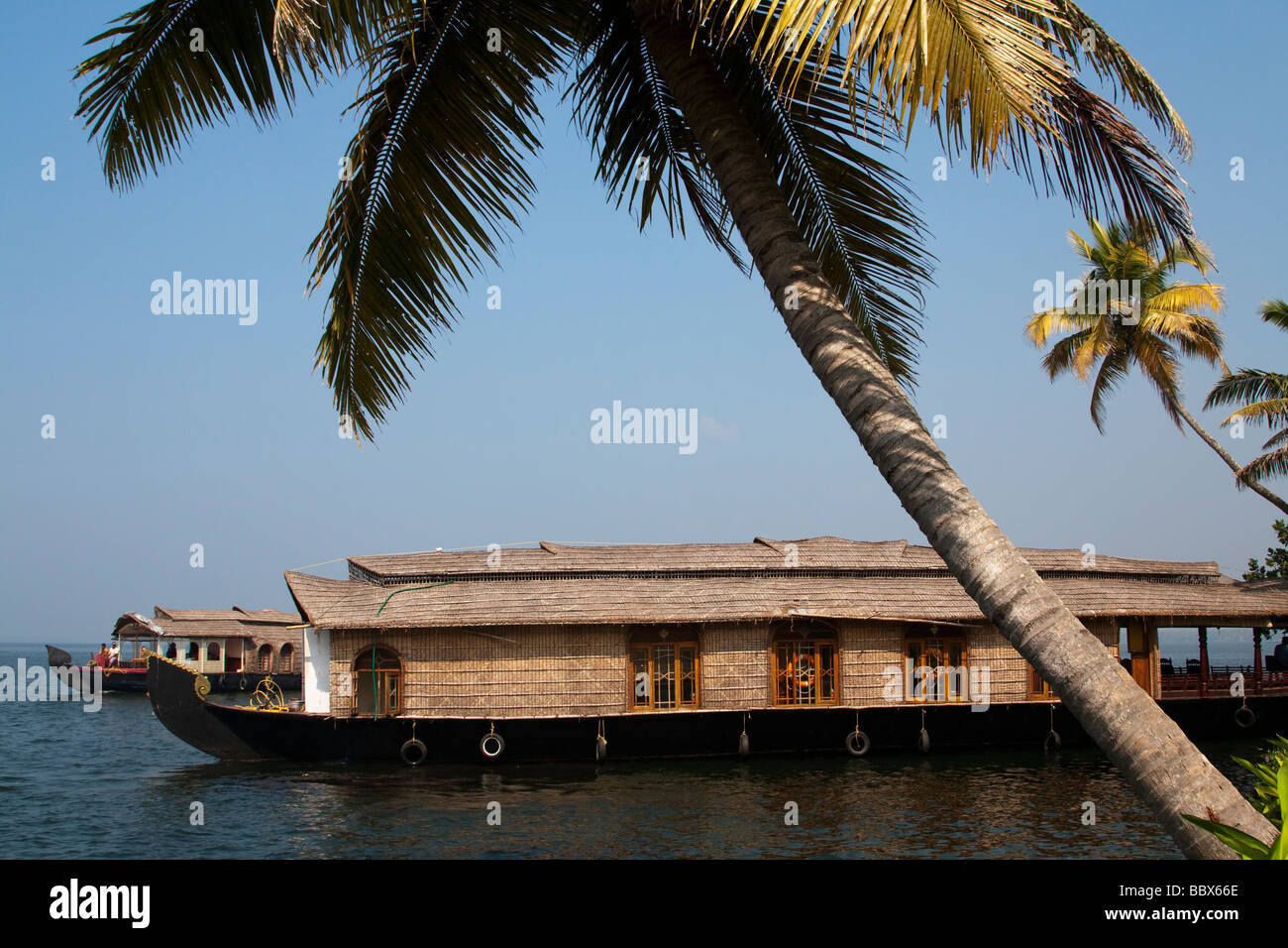 India Kerala Cochin Kochi Backwaters houseboats and palmtrees Stock