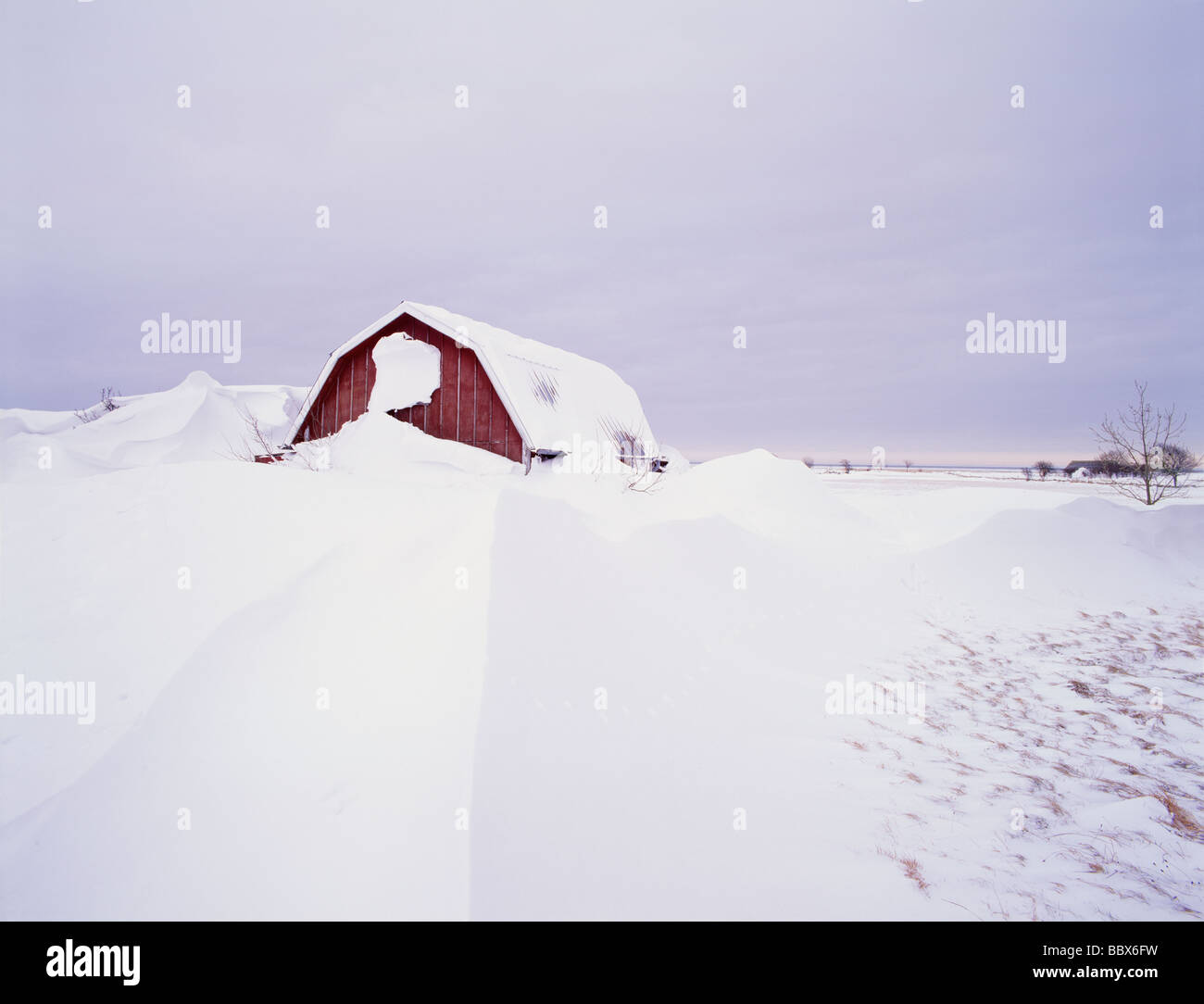 Photo inspiration: Fresh Look at Snow Clad Roof Hi Res Stock Photography And Images